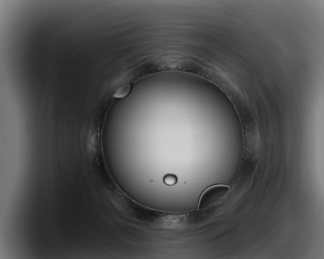 X0000097850126200803201545