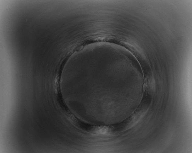 X0000097850127200803201545