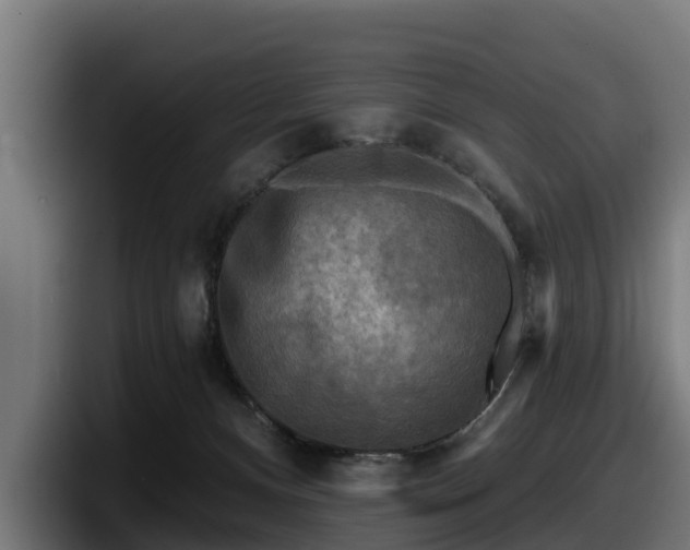 X0000097850128200803201545