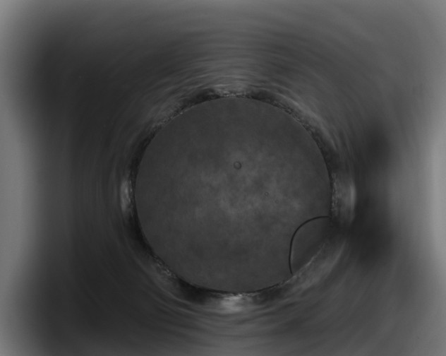 X0000097850130200803201545