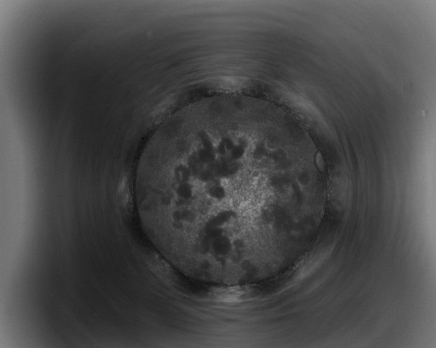 X0000097850131200803201545