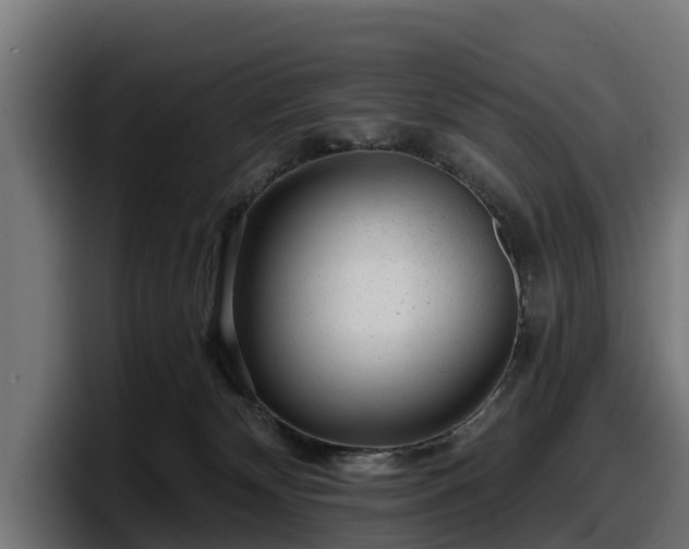 X0000097850132200803201545