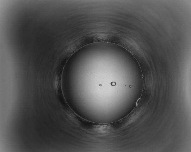 X0000097850135200803201545