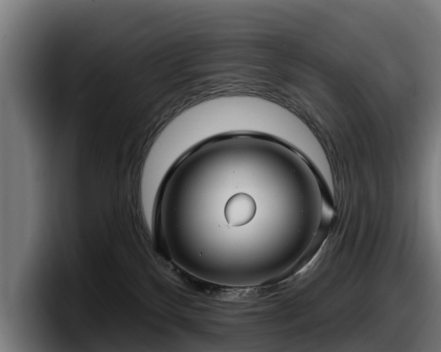 X0000097850136200803201545