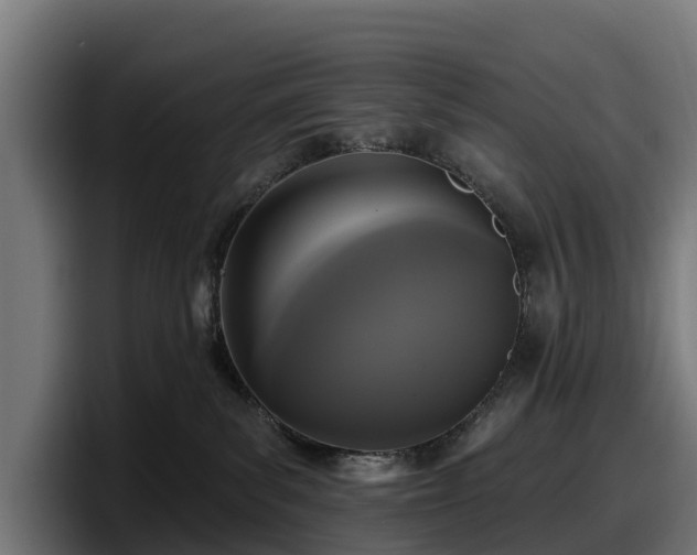 X0000097850139200803201545