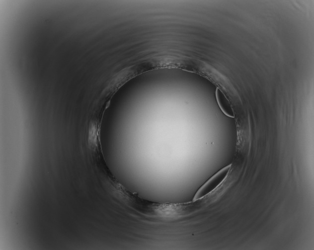 X0000097850142200803201545