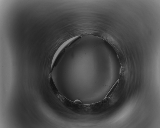 X0000097850143200803201545