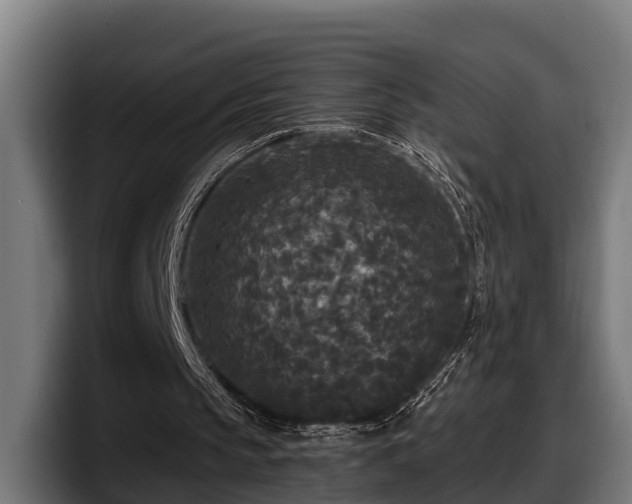 X0000097850145200803201545