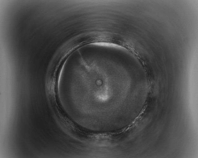 X0000097850146200803201545