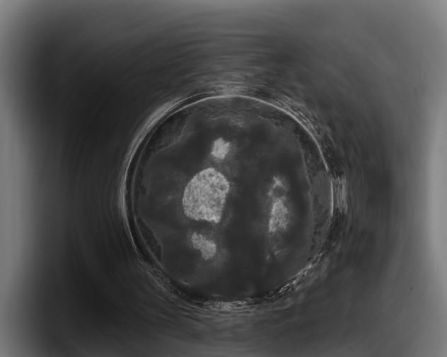 X0000097850147200803201545