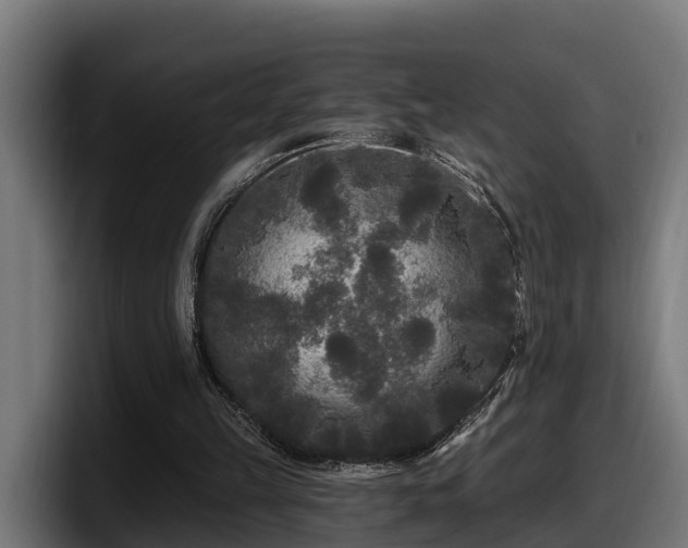 X0000097850149200803201545