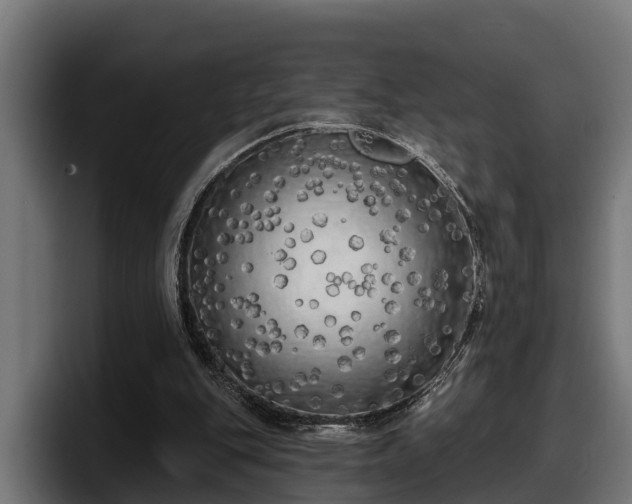 X0000097850151200803201545