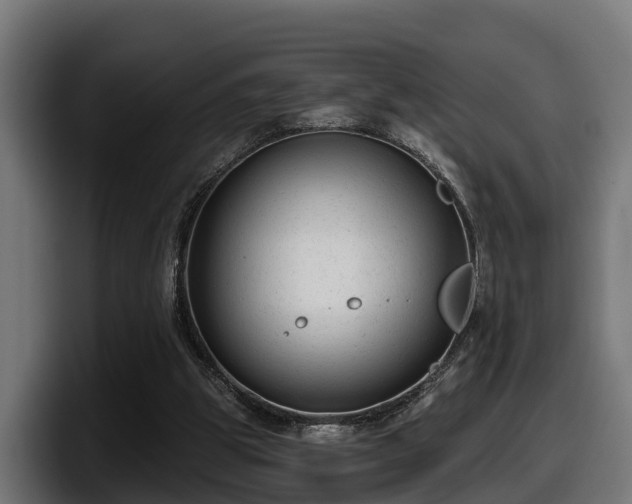 X0000097850153200803201545