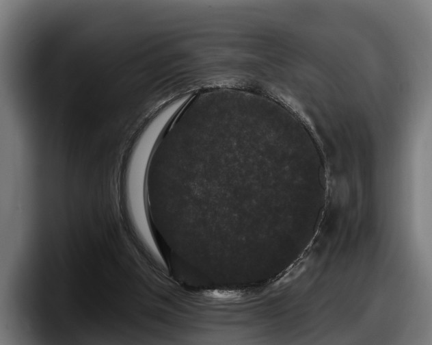 X0000097850154200803201545