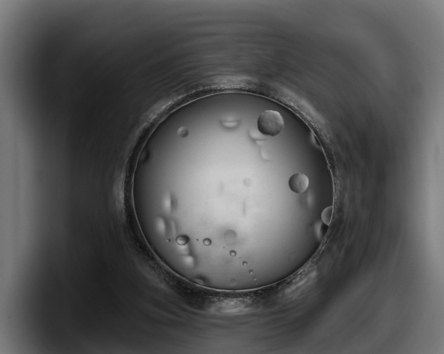 X0000097850155200803201545