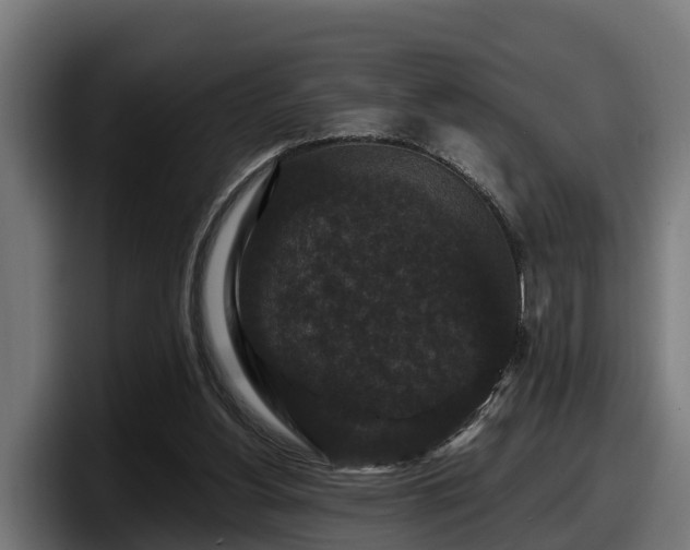 X0000097850156200803201545