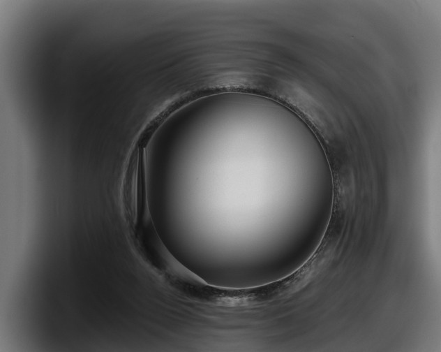 X0000097850160200803201545