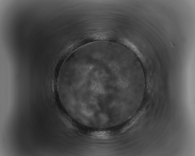 X0000097850161200803201545