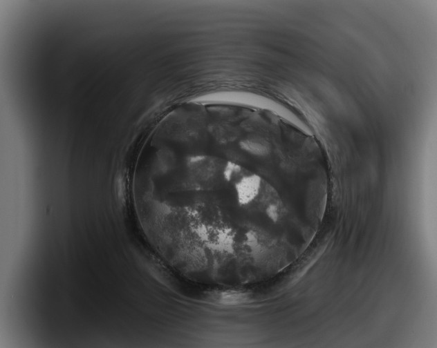 X0000097850165200803201545