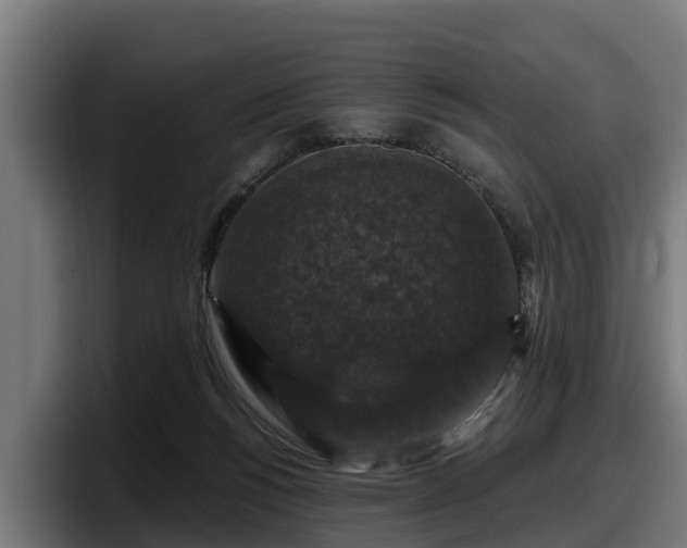 X0000097850168200803201545