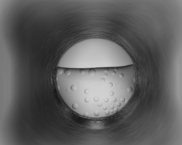 X0000097850169200803201545