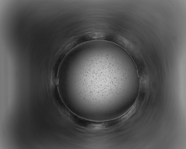 X0000097850170200803201545