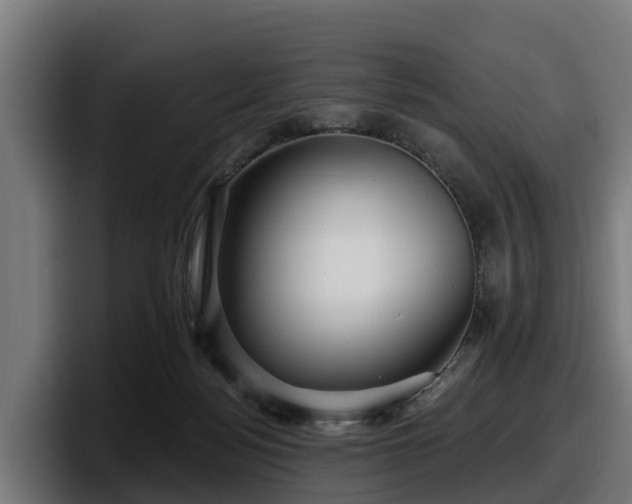 X0000097850172200803201545