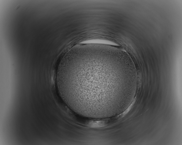 X0000097850174200803201545