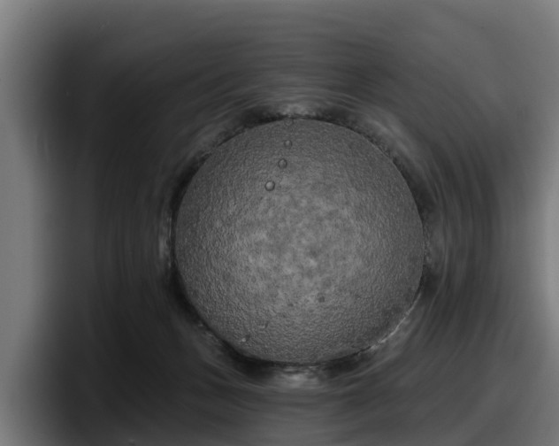 X0000097850175200803201545