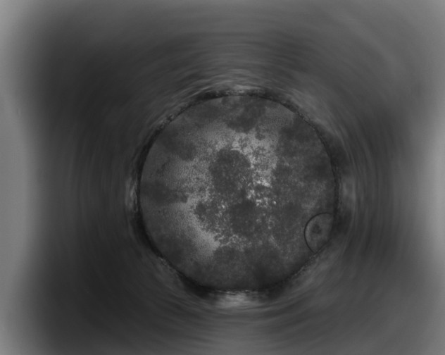 X0000097850177200803201545