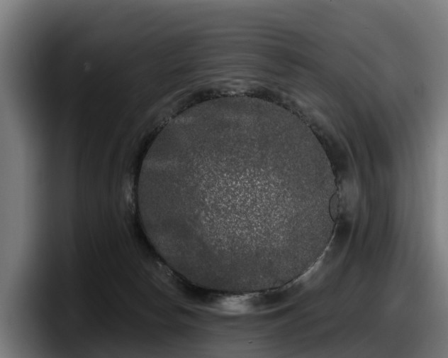 X0000097850178200803201545