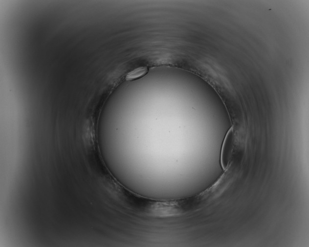 X0000097850179200803201545