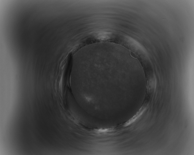 X0000097850180200803201545