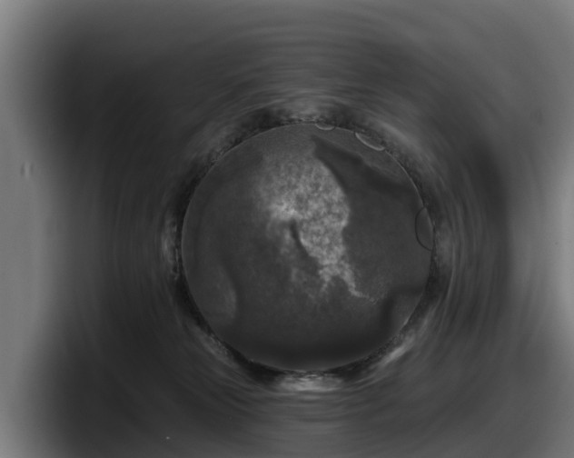 X0000097850181200803201545