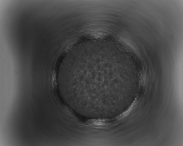 X0000097850182200803201545