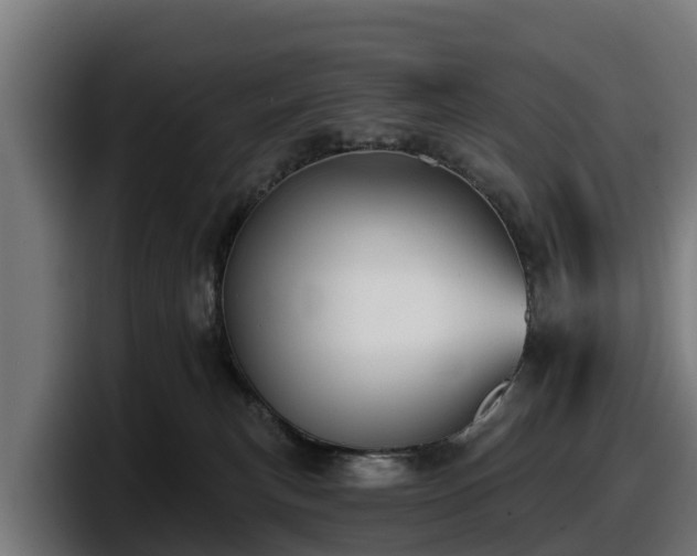 X0000097850183200803201545