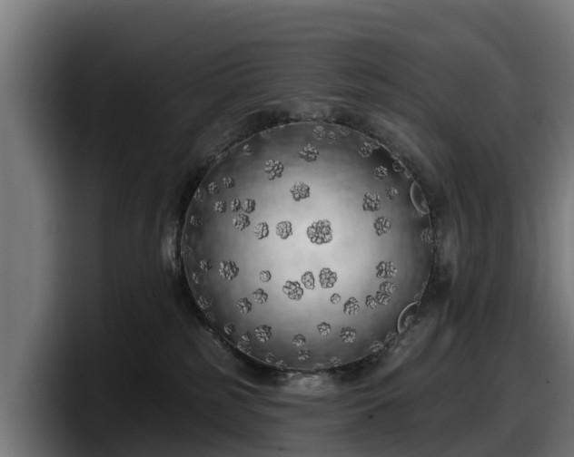 X0000097850185200803201545
