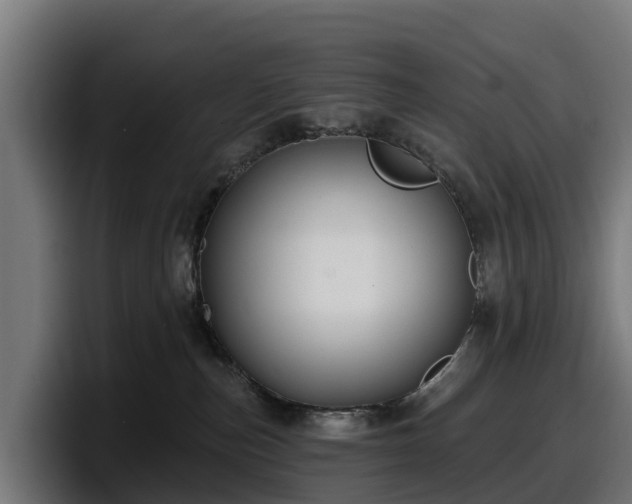 X0000097850187200803201545