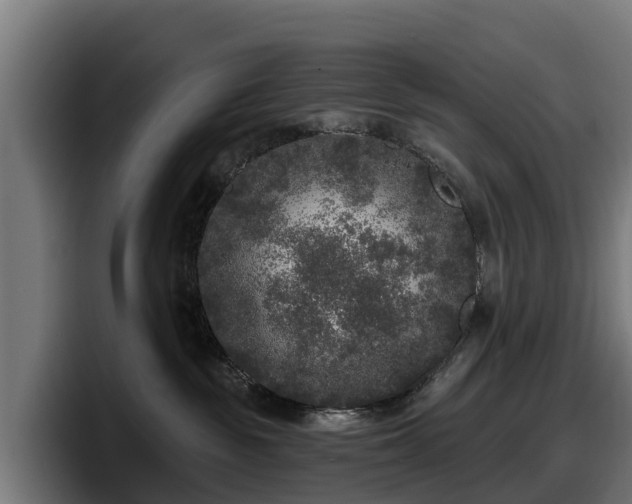 X0000097850189200803201545