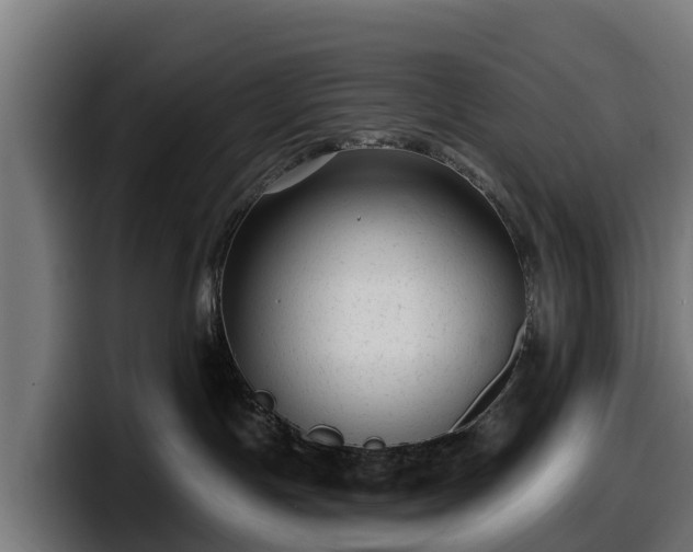 X0000097850191200803201545