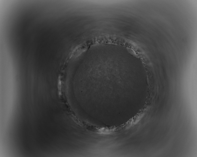 X0000097850192200803201545