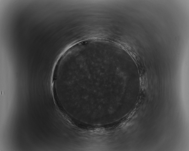 X0000097850196200803201545