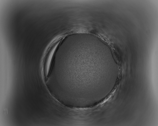 X0000097850197200803201545