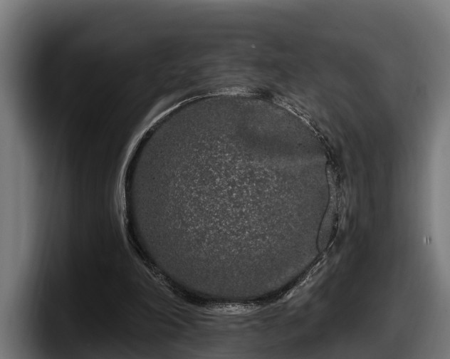 X0000097850198200803201545