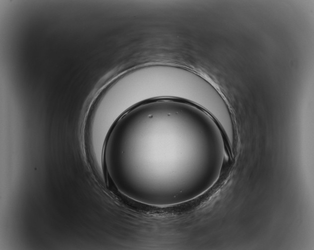 X0000097850199200803201544