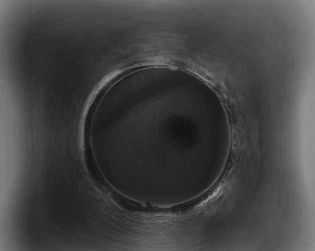 X0000097850200200803201544