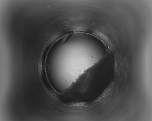 X0000097850202200803201544