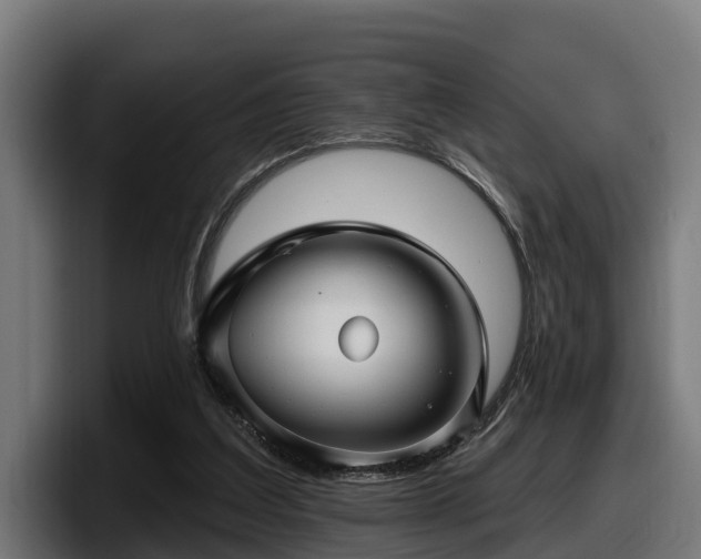 X0000097850203200803201544