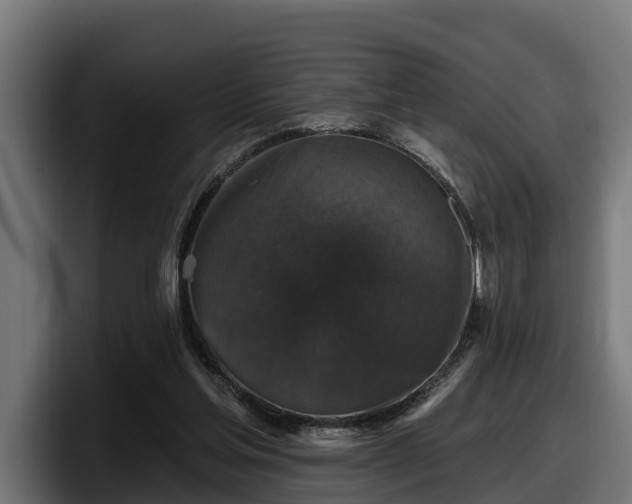 X0000097850205200803201544