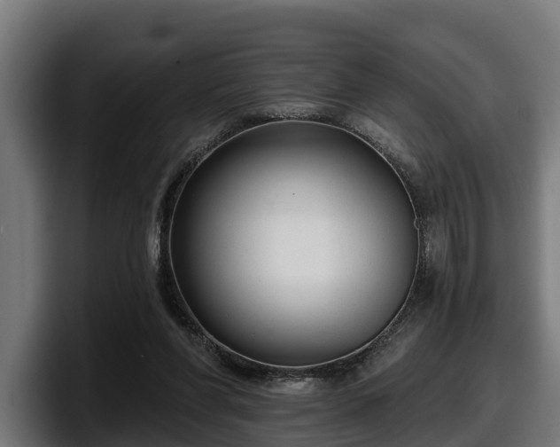 X0000097850206200803201544